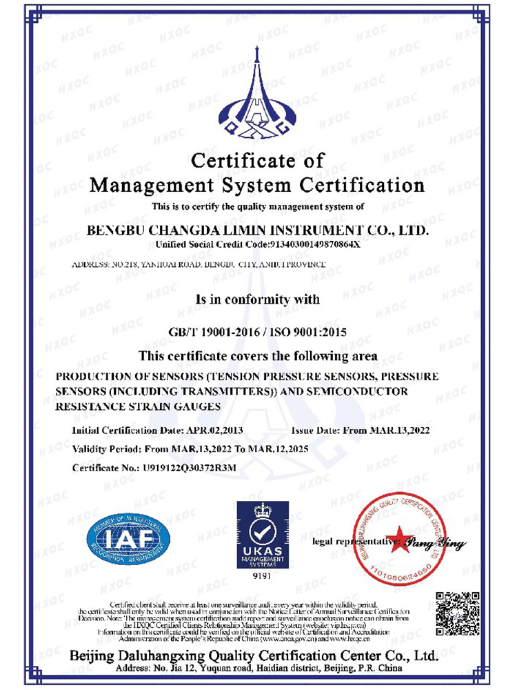 ISO9001管理體系認證證書(英文)